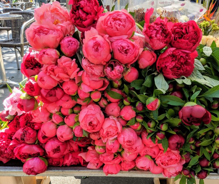 Bloemenmarkt Flowers amsterdam vegan guide