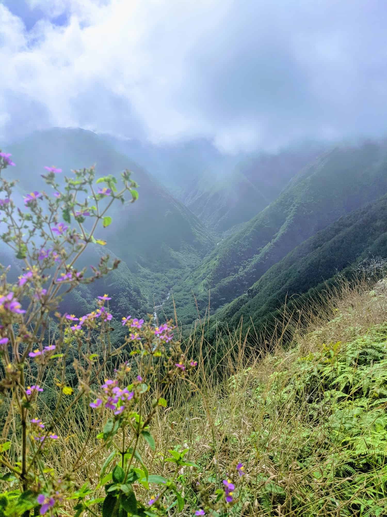 Maui hiking Waihee Ridge Trail