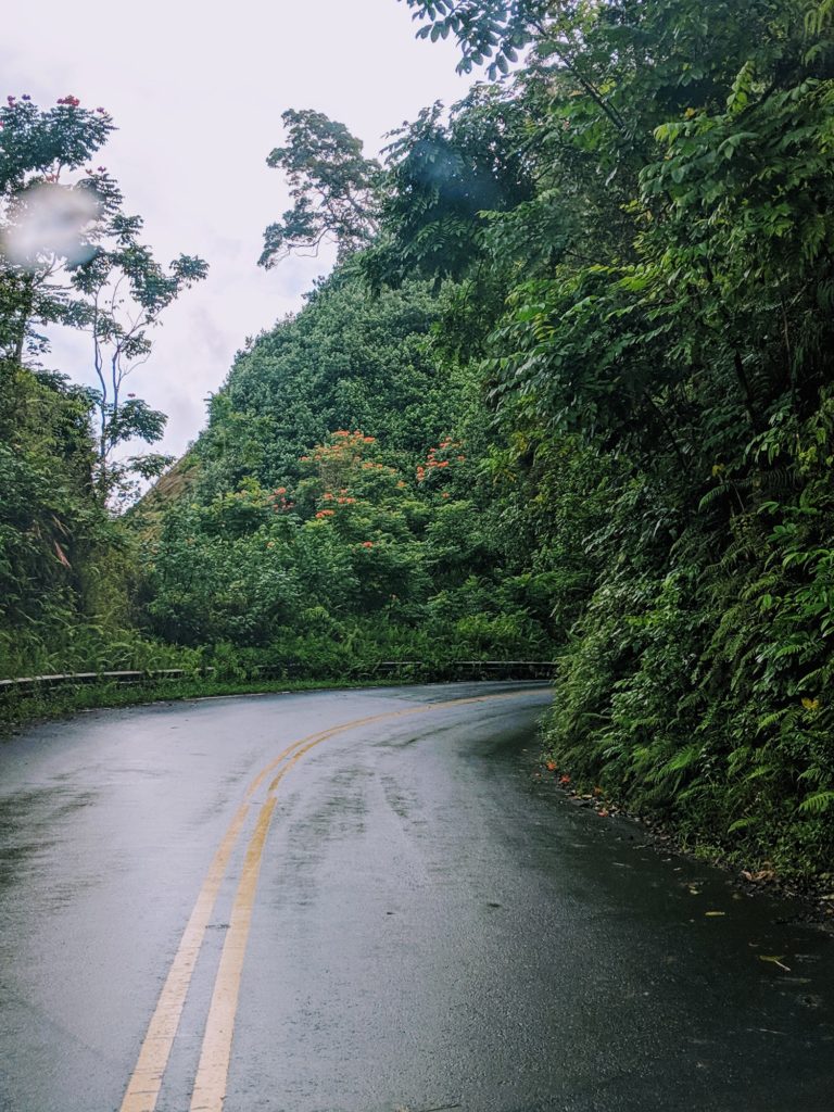 Maui Road to Hana