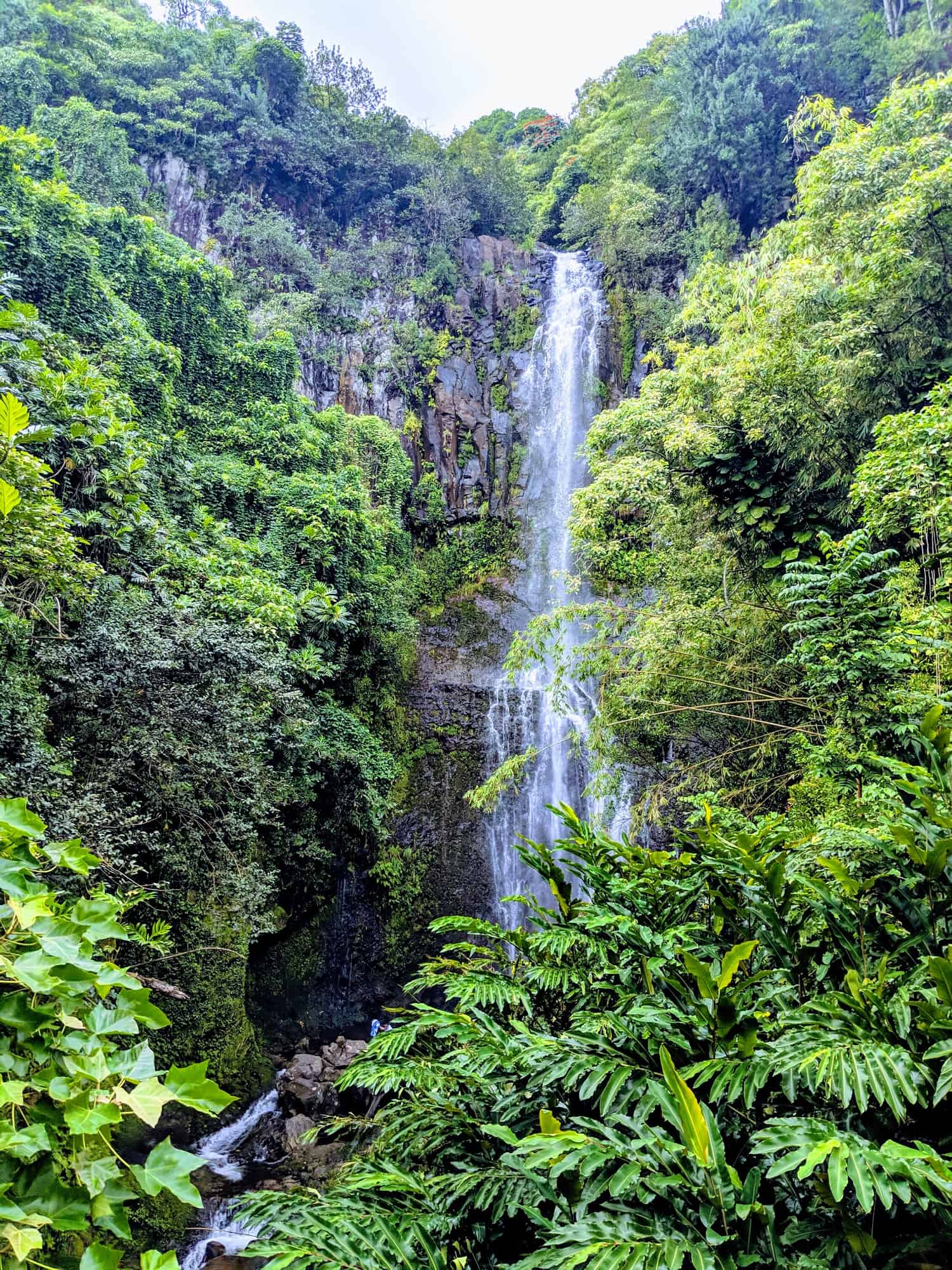 Maui Waterfalls road to Hana
