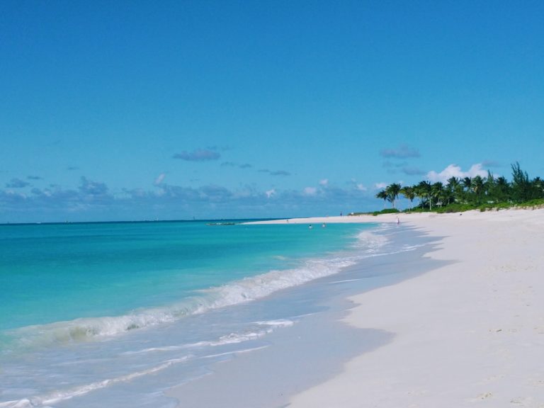 Vegan Tips for a Turks & Caicos Getaway 2023 - Veggies Abroad