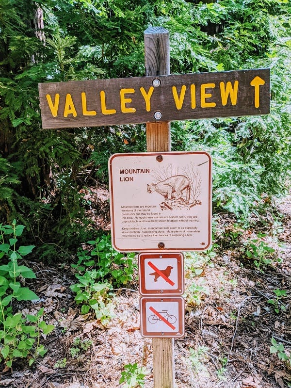 Valley View Trail pfeiffer big sur state park