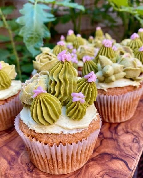 vegan and gluten free cupcakes topped with white butter cream and a green cactus made of frosting in philadelphia