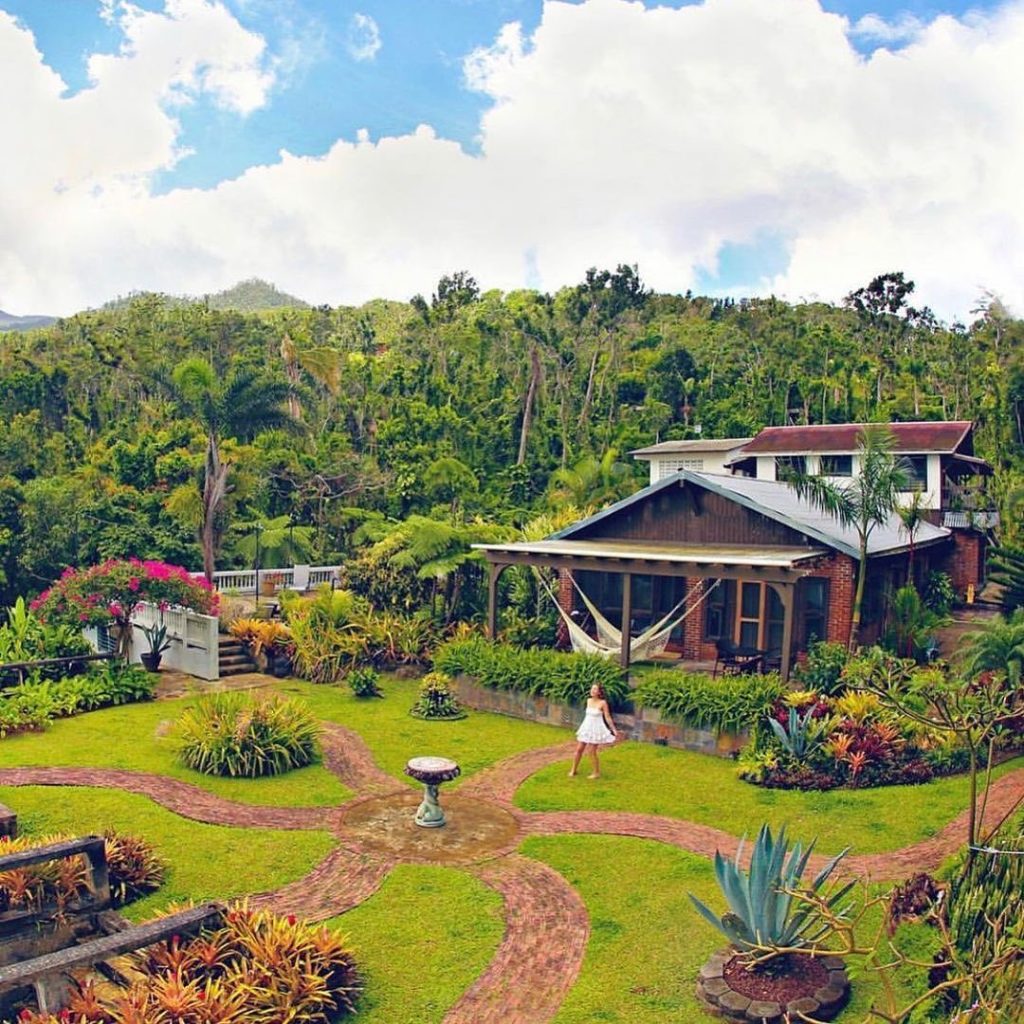 Rainforest Inn Puerto Rico