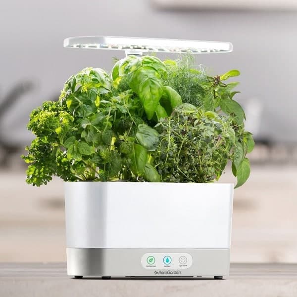 a white indoor vegetable growing machine with green leafy vegetables growing inside