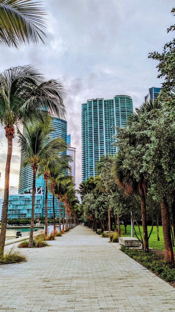 Downtown Miami waterfront