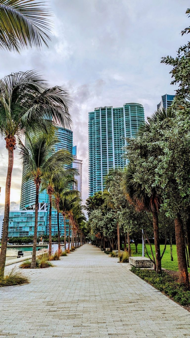 Where to Stay in Miami: Neighborhood Guide