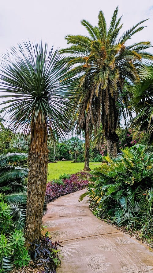 Fairchild Botanic Gardens Miami