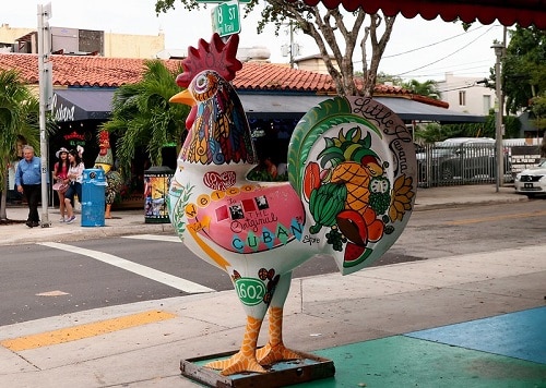 Little Havana Miami Rooster
