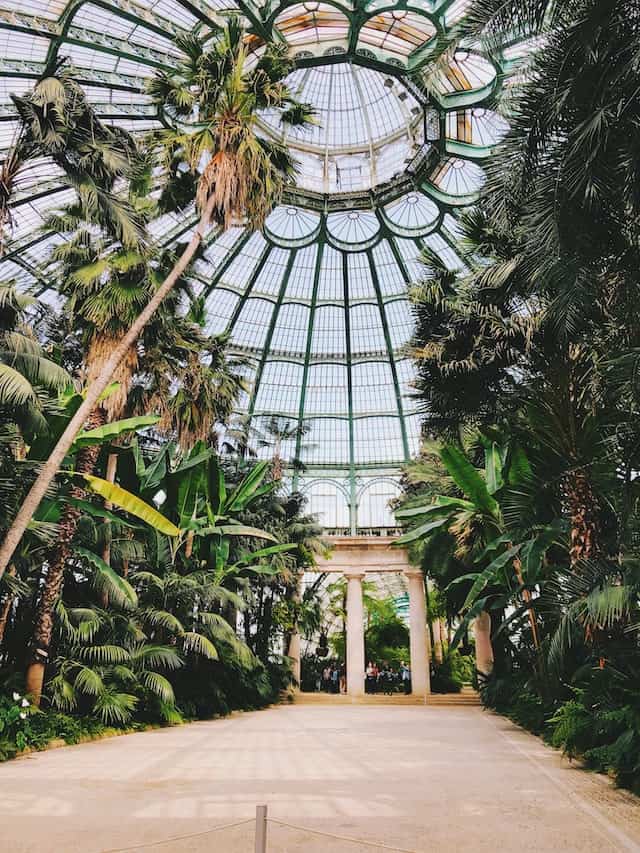 inside of a palm house at the greenhouse of laeken in brussels
