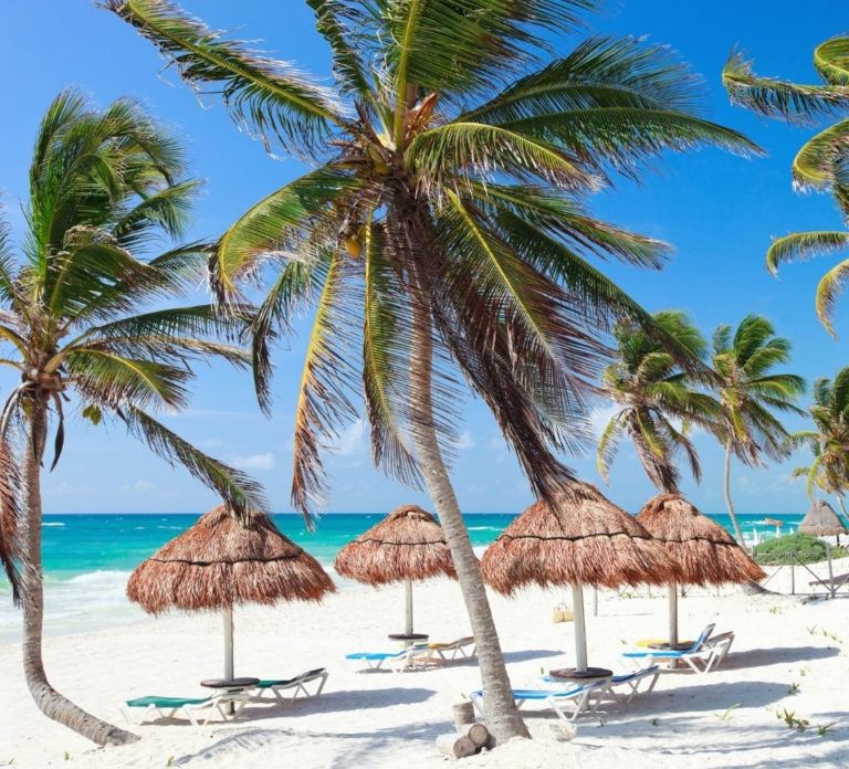 Vegan-Friendly Caribbean: Resort & Island Guide