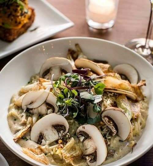 a white bowl with vegan cream pasta topped with mushrooms and green herbs in new york city