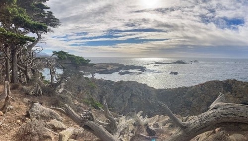Cypress Grove Trail - Best Hikes in Big Sur