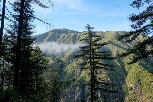Pine Ridge Hiking Trail Big Sur California