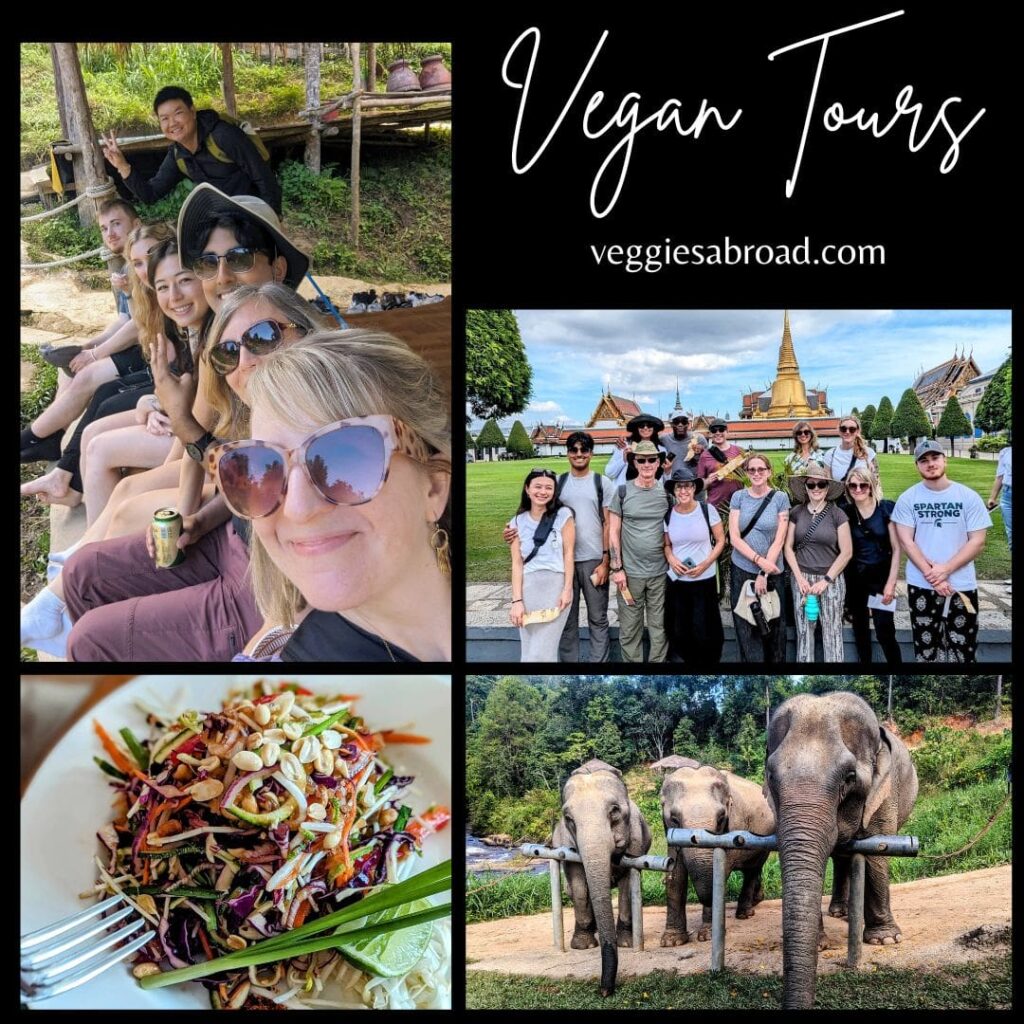 black background promotional image for vegan tours with photos of food, elephants and a group of people having fun