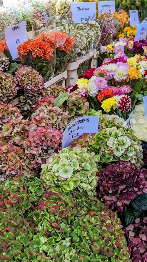 fresh cut flowers at the colombia road flower market london
