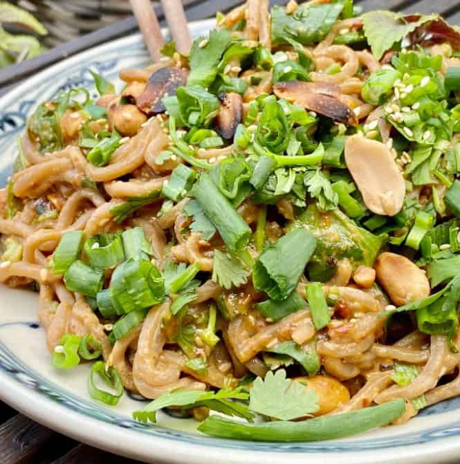 vegan vietnamese noodle dish with green onion and peanuts at well being cafe in cologne