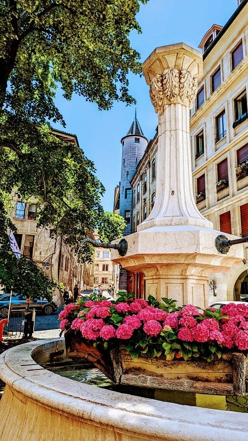 old medieval fountain surrounded by pink flowers in geneva's old town