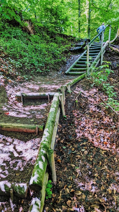 steep dirt trail with stairs on gurten in bern