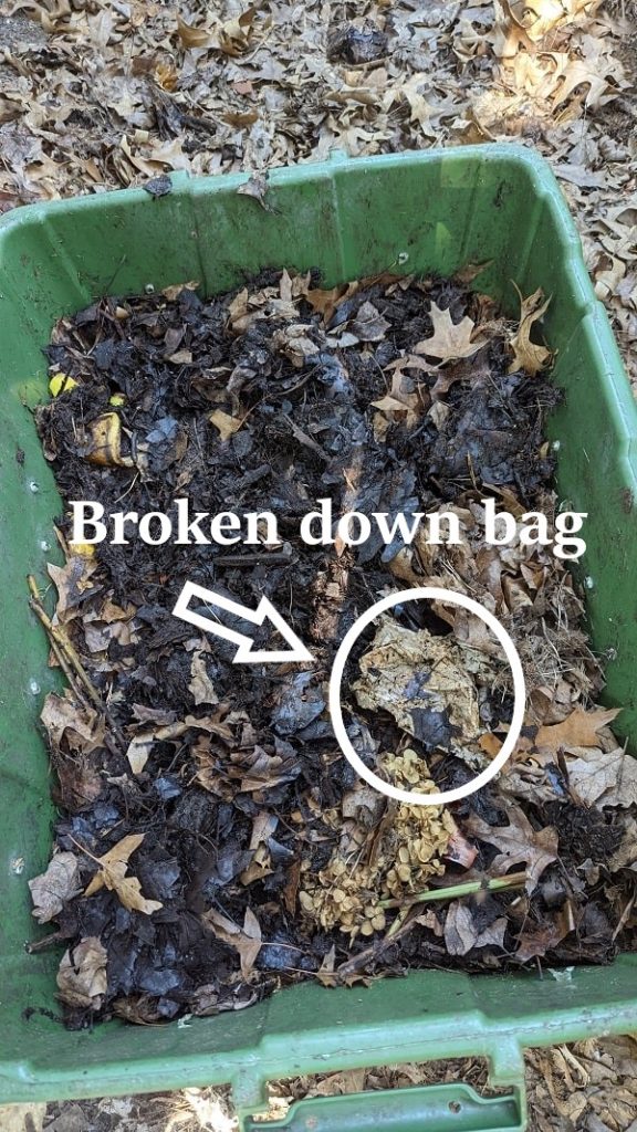 broken down holdon compostable sandwich bag in a compost pile
