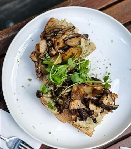 caramelized mushrooms on toast with sprouts from meatless district in amsterdam