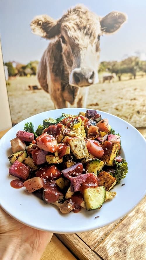 vegan veggie bowl filled with tofu, roasted veggies, and topped with a red sauce held in front of a photo of a cow at wild cow in nashville