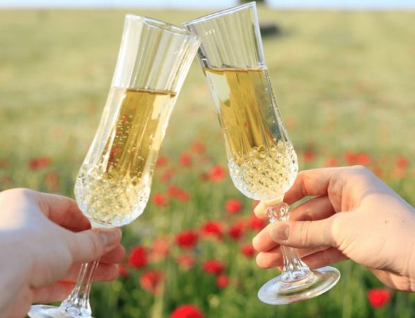 two fancy wine glasses in front of a field of poppies