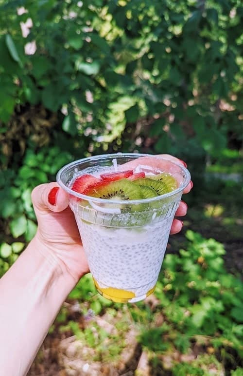 cup of vegan chia pudding topped with kiwi and strawberries from college town bagels