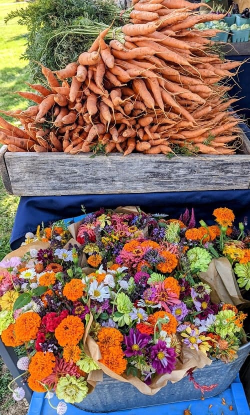 stack of fresh carrots above bouquets of colorful wildflowers at the farmers market in nashville