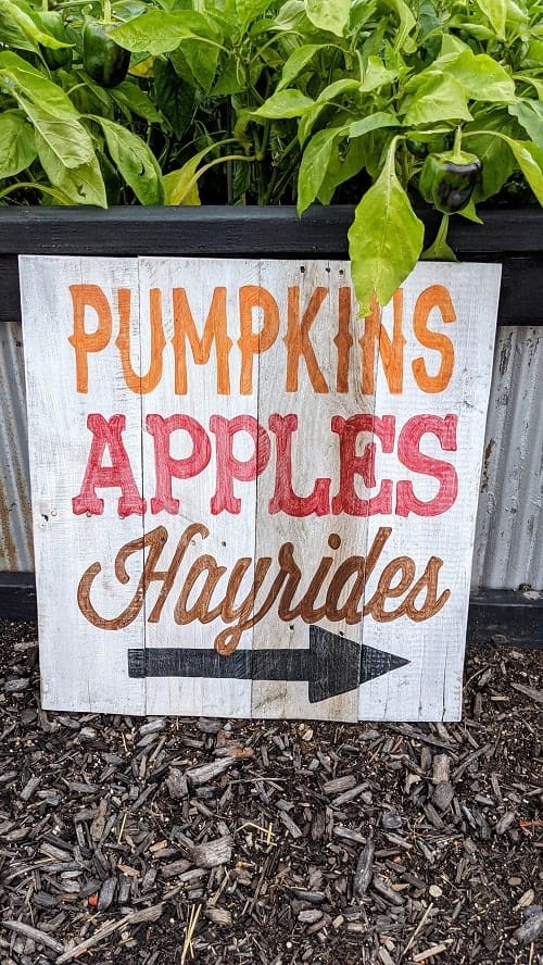 wooden sign that says pumpkins, apples, and hayrides 