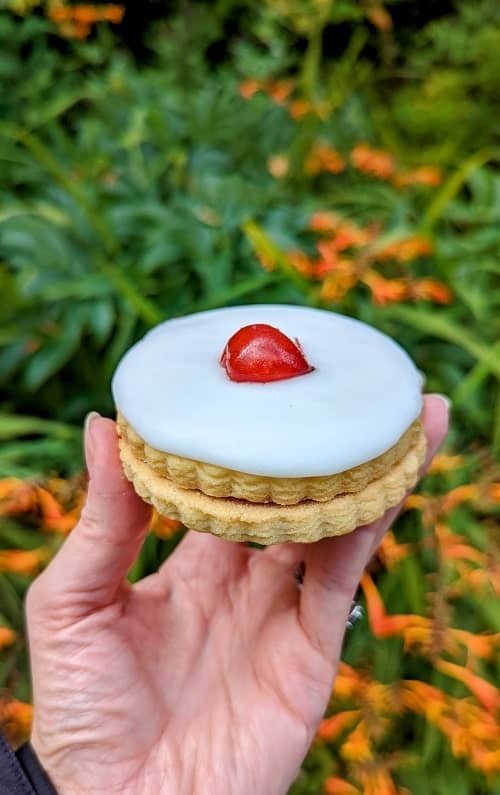 traditional vegan empire biscuit covered in white icing and topped with a red cherry from plant blonde
