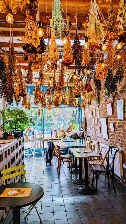 the inside of the vegan restaurant pipoca with dried hanging flowers from the ceiling in london