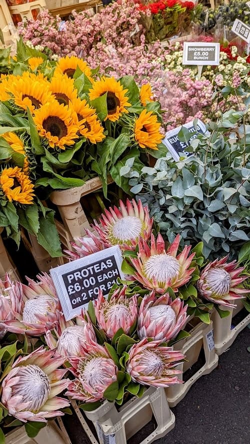 fresh cut flowers at colombia road flower market in london