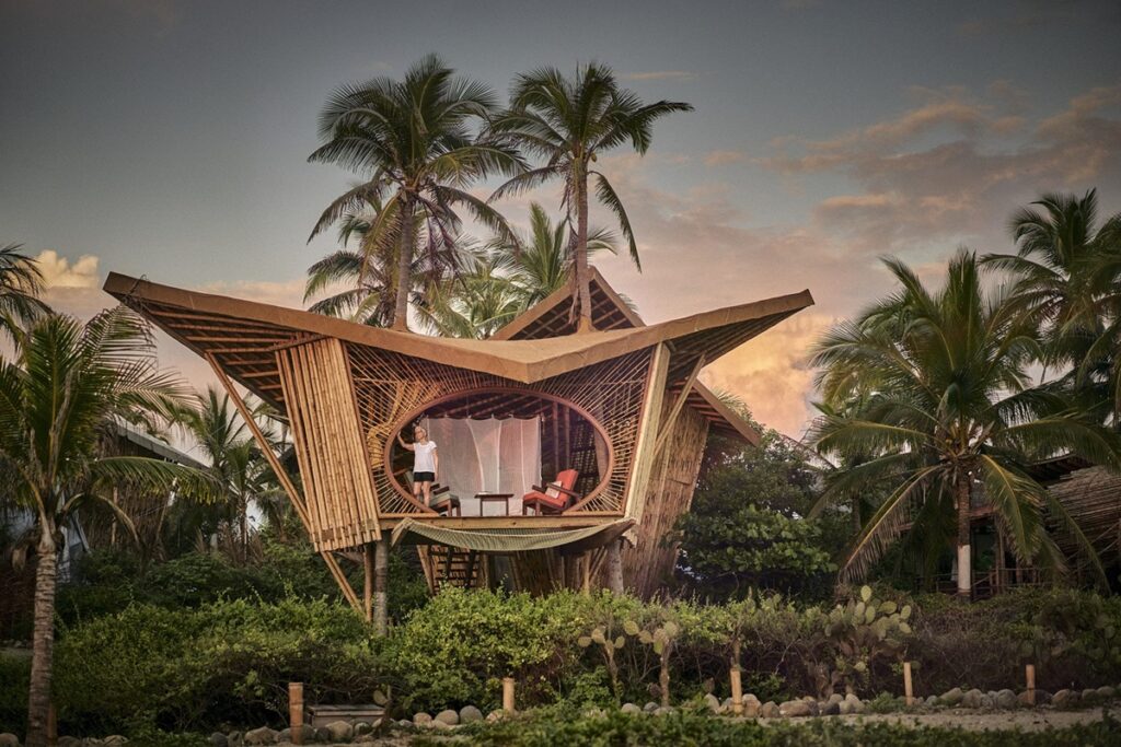 beautiful guest treehouse surrounded by jungle at the sustainable and vegan friendly resort playa viva in mexico