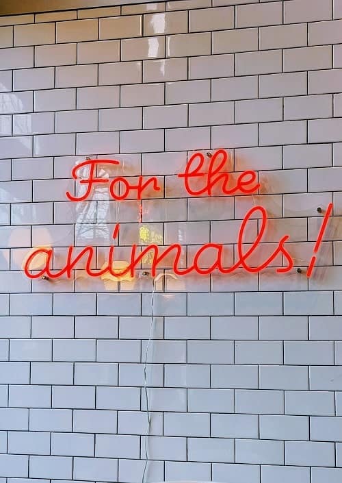 red neon sign in cursive script that says for the animals on a white subway tile wall