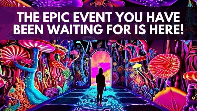 colorful promo image for the vegan vkind experience event in LA