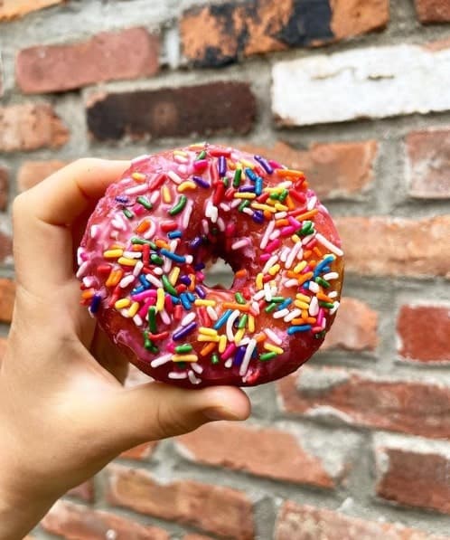 a round vegan donut topped with pink icing and colorful sprinkles held in front of a brick wall at brooklyn whiskers in NYC