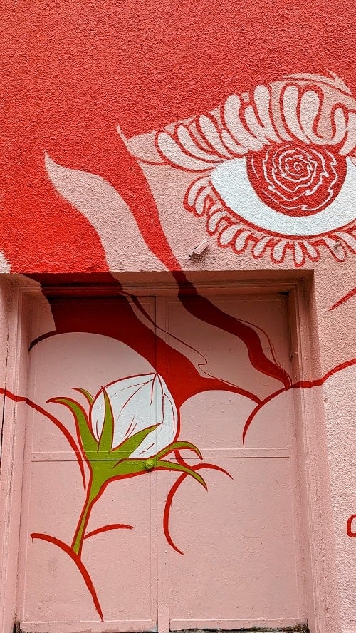red and pink mural of a girl's eye with a single white rose on the mexican american art museum building in austin