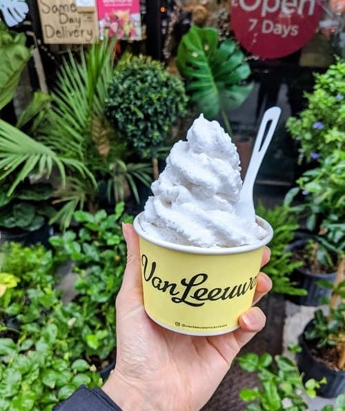 vegan ice cream from Van Leewen in NYC in a yellow cup and topped with a swirl of coconut whipped cream