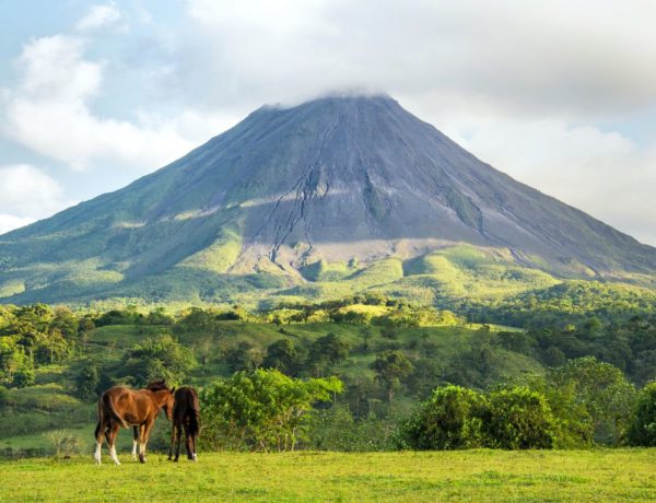 costa rica's arenal volcano with light clouds overhead and two horses eating grass in the field below