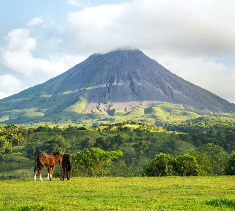 Costa Rica Vegan Resort Guide: 17 Places for a Vegan-Friendly Escape