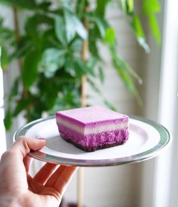 vegan raw dessert bar that is light purple and white on a plate held in front of a green plant at chicago raw