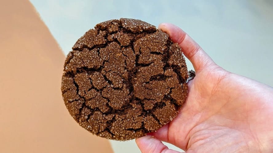 a vegan and gluten free molasses cookie from edible flours in vancouver