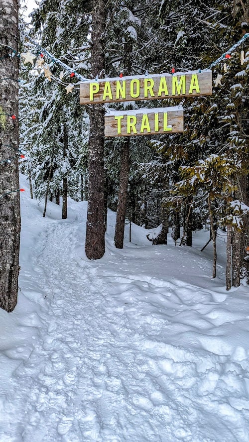 the snow covered panorama trail at the sea to sky summit in british columbia