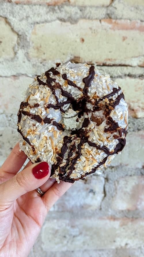 vegan chocolate coconut macaron donut at level 5 donuts in madison