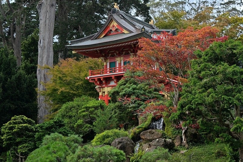 lush green trees surrounding a red pagoda in the Japanese garden in San Francisco 