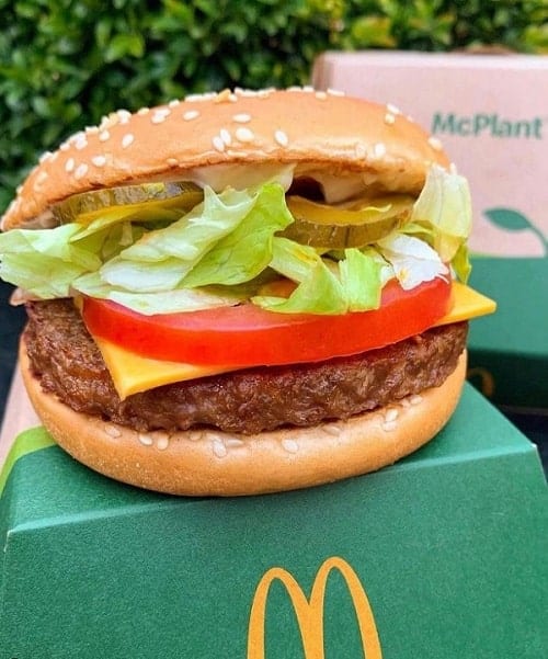 vegan mcplant burger sitting on a green mcdonalds container