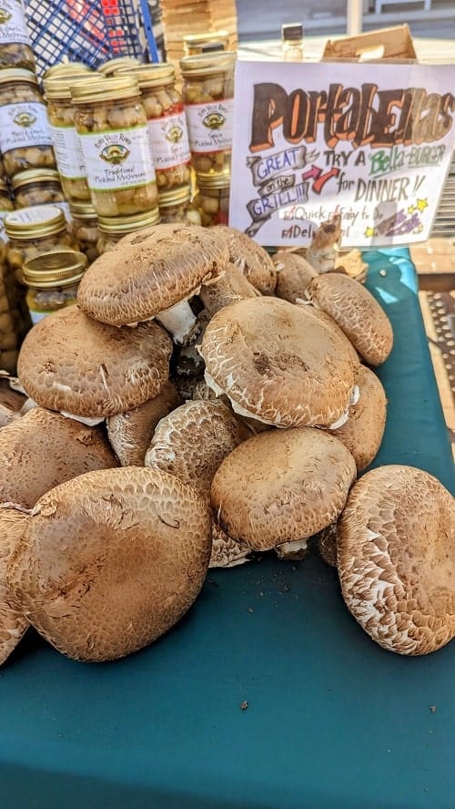 portobello mushrooms at madison weekend farmers market