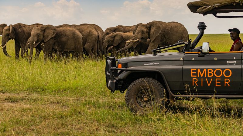 emboo river eco friendly safari with a jeep watching a pack of elephants in kenya