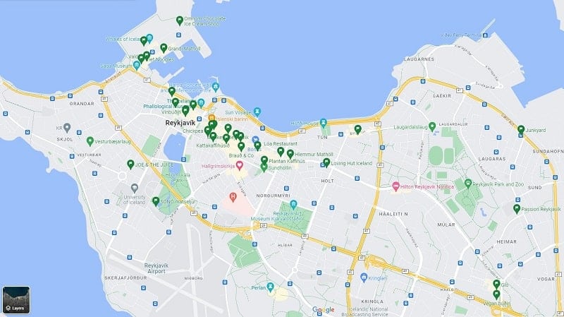 google map with all of the vegan, vegetarian and vegan friendly restaurants in reykjavik